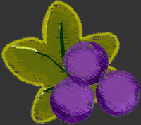 grapes